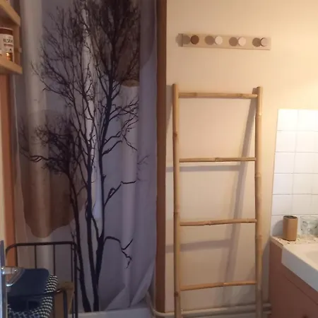 Apartment Bis Cosy Besse-et-Saint-Anastaise